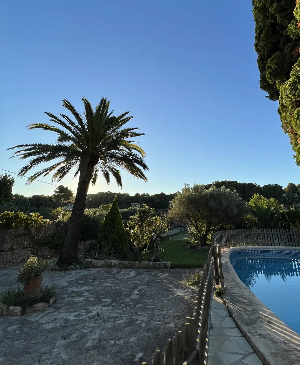 Palmera, olivo y piscina de Casa Els Molins al atardecer